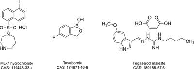 A Novel Tigecycline Adjuvant ML-7 Reverses the Susceptibility of Tigecycline-Resistant Klebsiella pneumoniae